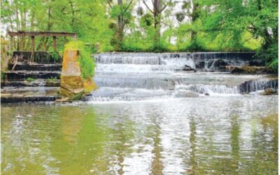 Des cours d’eau libérés pour le bonheur des poissons